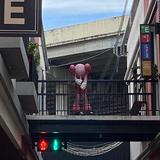生活有乐味头像