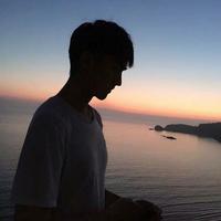 灵敏枫叶fR头像