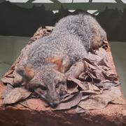 SUKI_BK0717的个人资料头像