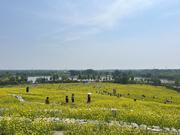 山林风的个人资料头像