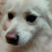 心心王的个人资料头像