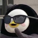 哈哈哈哈哈哈害305头像