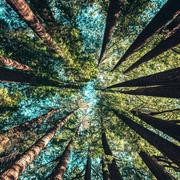 Qianze的个人资料头像