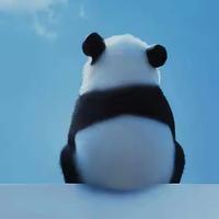 一只小萌萌啊头像