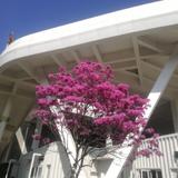 一块黑色手表头像