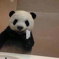 起名十二分三十秒头像