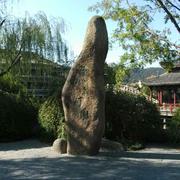 躺平的咸狗的个人资料头像