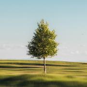 一笑风云的个人资料头像