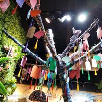 诗歌趁年华6X6A头像