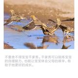 永超208头像