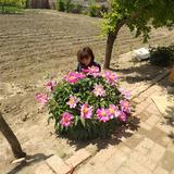 大家衡器赵头像