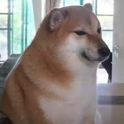 bd43e64af1a28d4d的个人资料头像