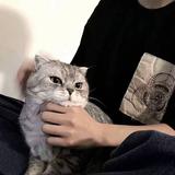 用户5833813170669头像