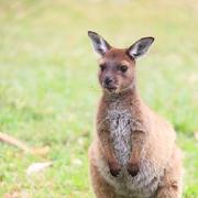 JingxiQ的个人资料头像