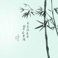 缘来yuan去头像