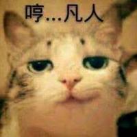 你懂的3393头像