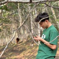 山猫穿行者头像