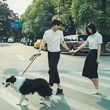 至尊宝千年等一回头像
