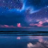 夜星豹头像