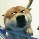 南归6087头像