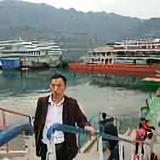 罗治平252头像
