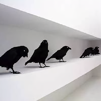 摄影新世界头像