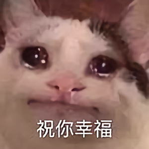摄影苏山猫头像