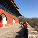 科密拉45头像