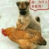 阳光下的男人33头像