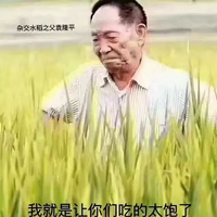 乘风游景头像