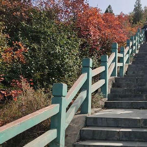 枫叶飘飘145737450头像