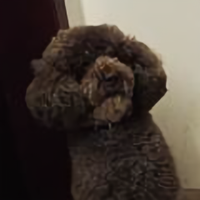 快乐老渔头像