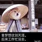 不懂就去百度头像