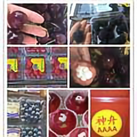 水果老张说水果头像