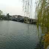 孙国良706头像