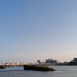 linhaolaw头像