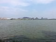 时代8888头像