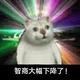 騳驫CSY头像