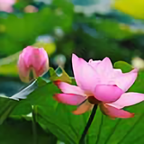 雨无痕60086741头像