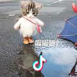 七月灬七日丿情韓闞蘫颭䪏䥖麴衢齲头像