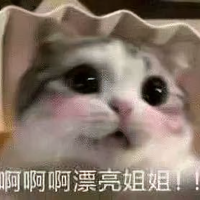 戏外人863头像