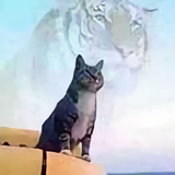 用户55471708072头像