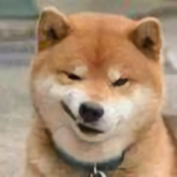 胖子不太胖头像