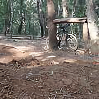 酱油在路上头像
