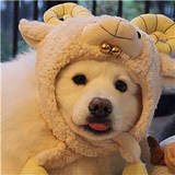 东西还是南北头像