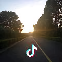 Wang阿楠头像