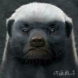 秋名山凤凰二八车神头像