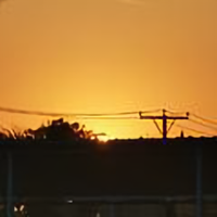 村边有棵春树头像