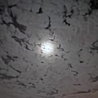 牯牛山没牯牛头像