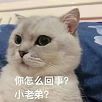 小宇评测室头像
